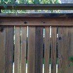 Fence Building Expert Matt Humphrey - Cambria, CA